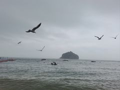 -棒棰岛宾馆景区