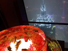 -上海环球金融中心云端足球盛典