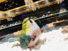 -红辣椒·川菜·火锅(张杨路店)