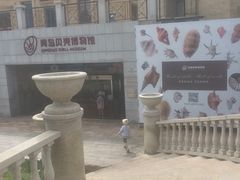 -青岛贝壳博物馆