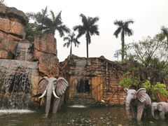 -美的鹭湖探索王国