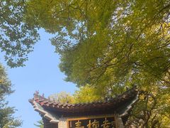 -青檀寺景区