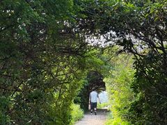 -水濂山森林公园