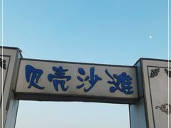 -贝壳沙滩