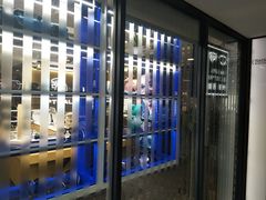 -鲸渝眼镜·浅目视光(春熙路店)