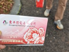 -东平国家森林公园