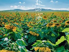 -大召寺明清一条街