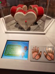 -北京科学中心儿童乐园