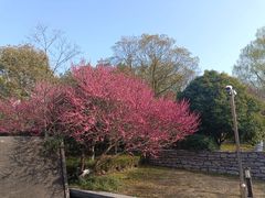 -长广溪湿地公园