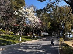 -南北湖风景区