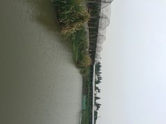 -马陆小张葡萄园农家乐