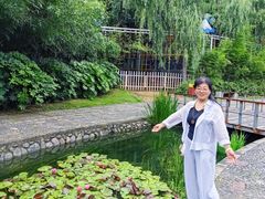 -洛阳市隋唐城遗址植物园