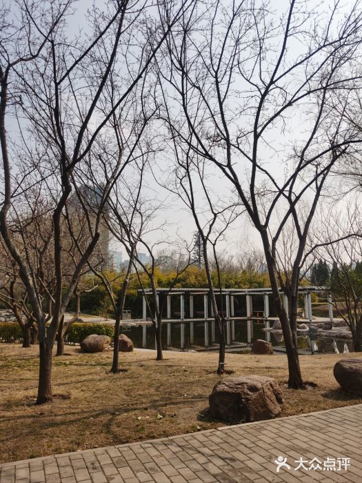 郑东新区湿地公园图片
