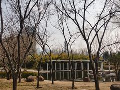 -郑东新区湿地公园