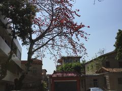 -好成财牛排馆(涂门街总店)