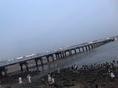 -霞山观海长廊