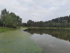 -东郊湿地公园