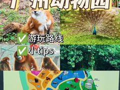 -广州动物园