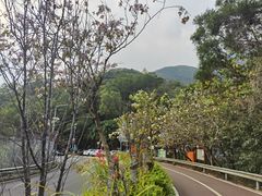 -梧桐山风景名胜区