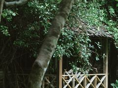 -Bamboo Saturday Market(Nana Jungle)