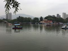 湖-西宁市人民公园(城西区)