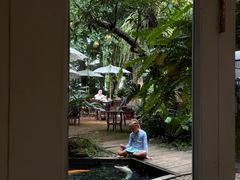 -Fern Forest Cafe