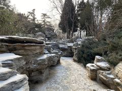 -团结湖公园