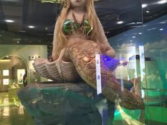 -成都泰迪熊博物馆