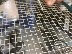 -YONEX苗江运动城(源深店)