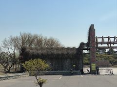 -塘沽森林公园