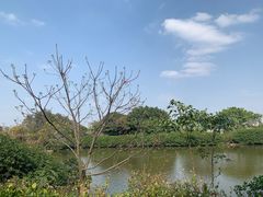 -海上田园