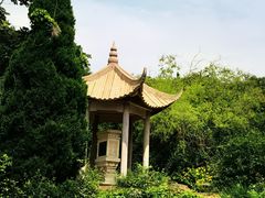 -老龙头景区