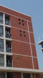 -山东外贸职业学院