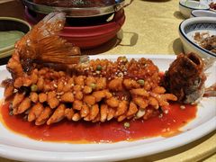 -新侨小馆(东直门北小街店)