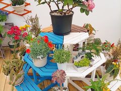 -南山植物园
