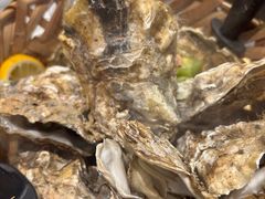 -新鞑烤羊腿(康平路店)