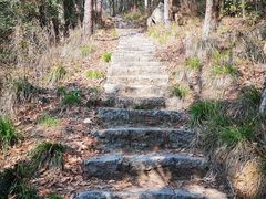 -青龙山国家森林公园
