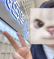-单色舞蹈