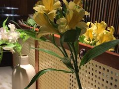 -淮扬府·游园京梦(北京SKP店)