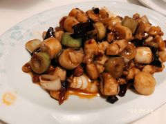 -付掌柜在成都·热炒砂锅集(金禾店)