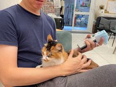 -玫瑰咖啡(中山六路店)