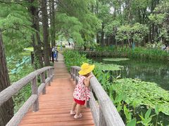 -东湖落雁景区