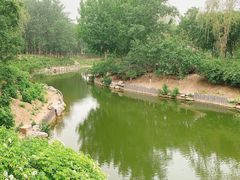 -大兴滨河森林公园