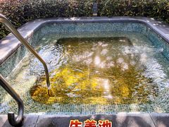 -广州都喜泰丽温泉度假酒店
