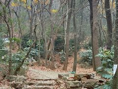 -虞山风景区