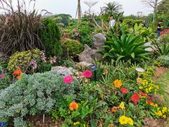 -东莞植物园