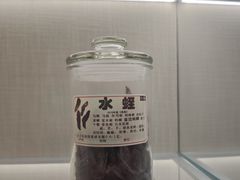 -广东中医药博物馆