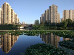 -前关湿地公园