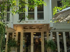 -Fern Forest Cafe