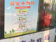-上海佘山世茂艾美酒店